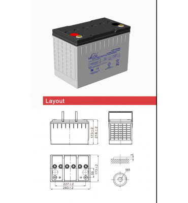 Batterie LEOCH DJW6-12 6V 12Ah Acide scellé de Plomb - Ce Produit est Un  Article d'origine de la Marque LEOCH®